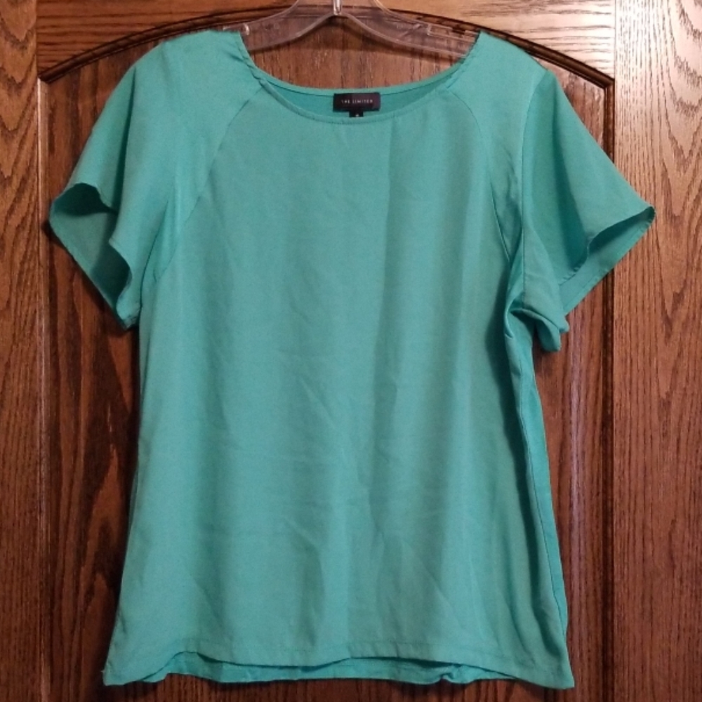 The Limited Dressy Short Sleeve Top